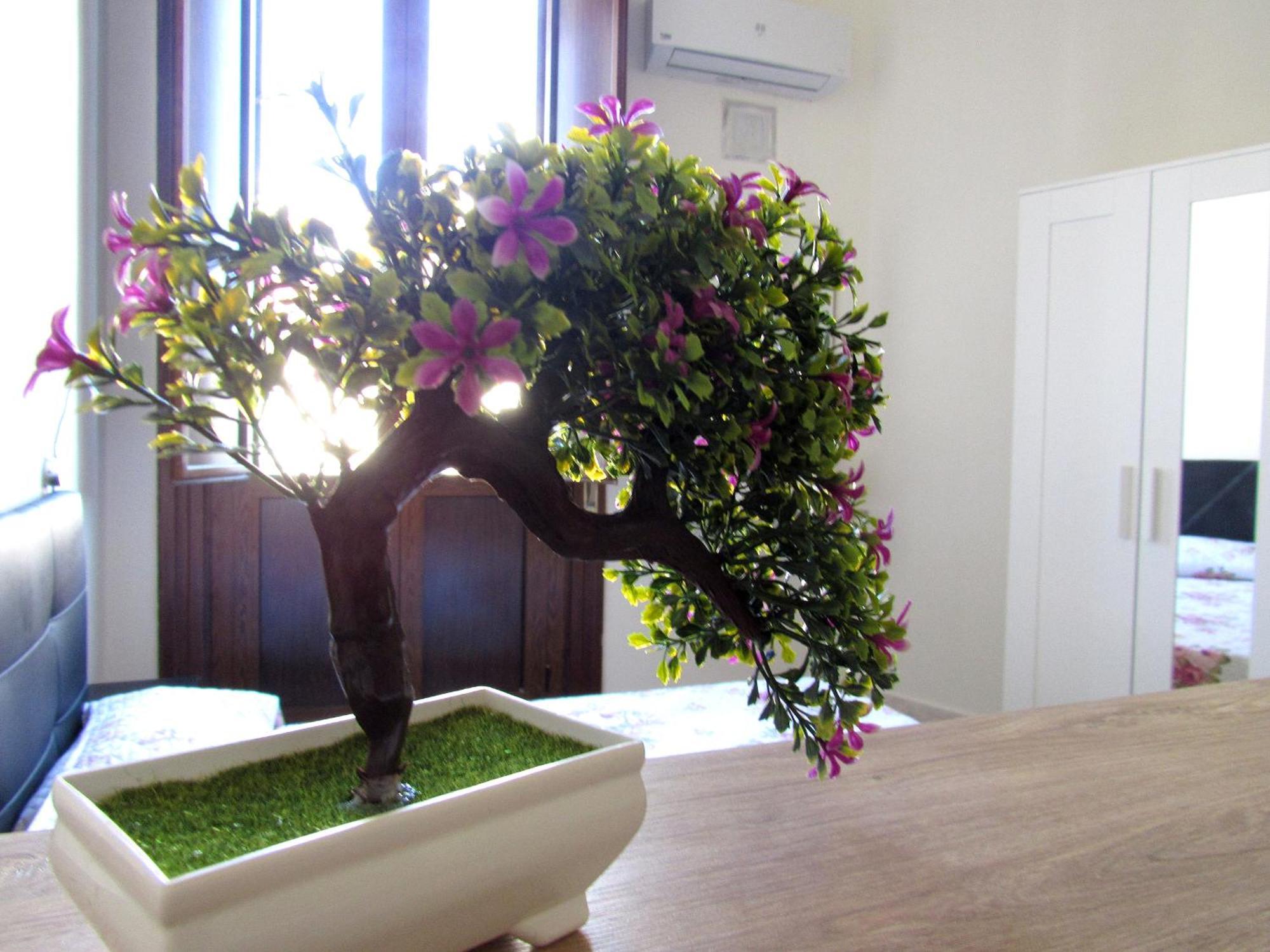 Il Rifugio Di Garibaldi Bed and Breakfast Νάπολη Εξωτερικό φωτογραφία